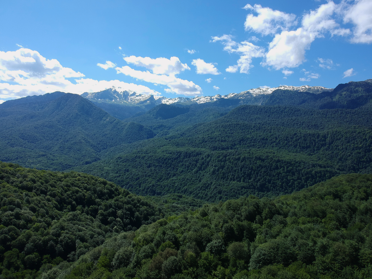 Nature