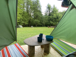 AibgaEco camp