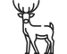 Button pictures (75 × 60 пикс.) deer 6